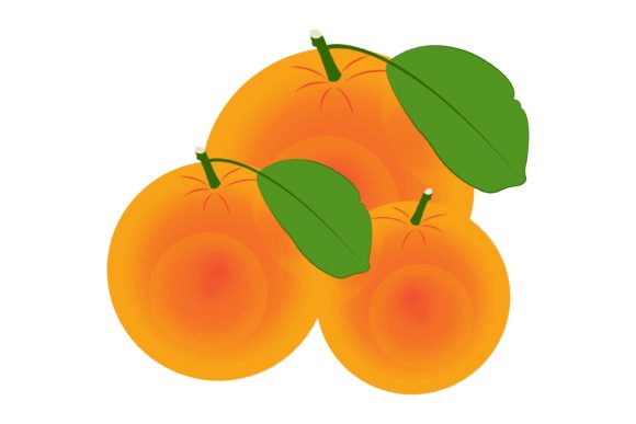 Download Orange Fruit Illustration - Fruit illustration Collection